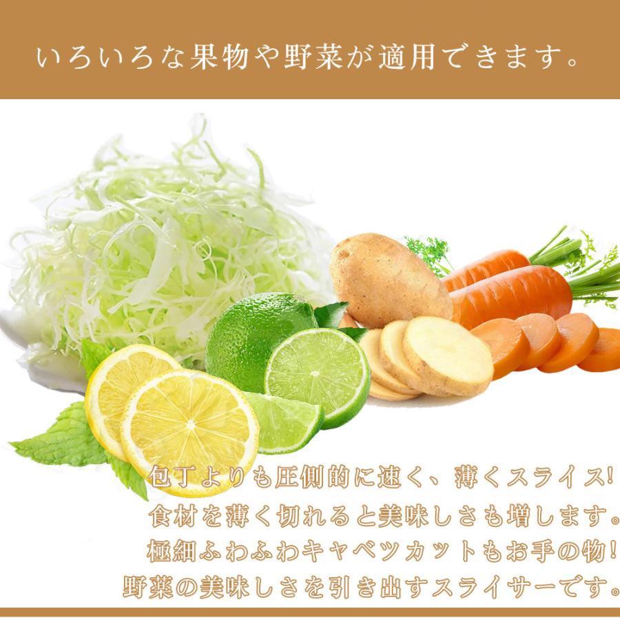 スライサー キャベツ 千切り 薄切り (本体ステンレス 替刃2枚付 スライサー キャベツ 千切り 薄切り (本体ステンレス 替刃2枚付