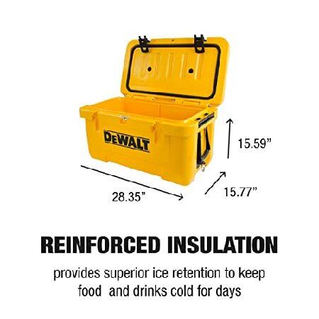 100％本物保証！DeWalt 45 Qt Roto Molded Cooler（並行輸入品