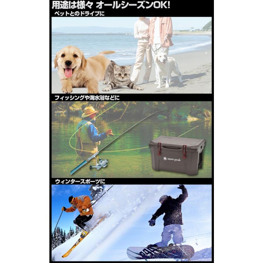 タンク ルーミー ラゲッジマット 3D マット フロアマット トール