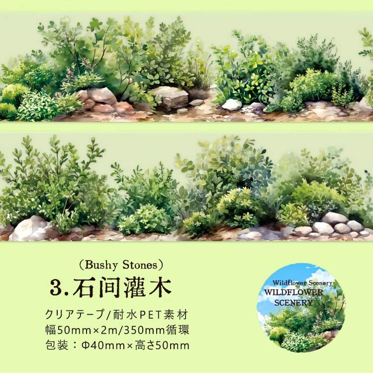 クリアテープ マスキングテープ 透明 耐水 PET シームレス 幅広50mm