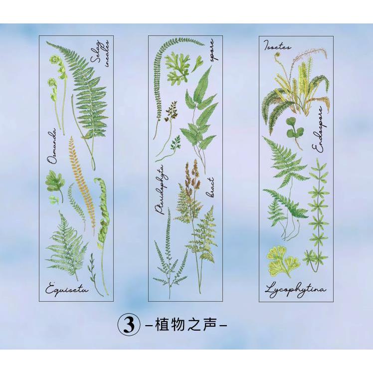 海外ステッカー クリア PET素材 ドライフラワー ジャンクジャーナル