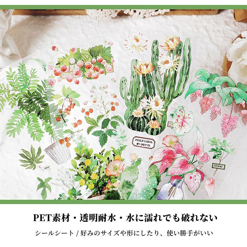【同梱200円以下♡】コラージュ素材 マットタイプステッカー 50枚かぶりなし♡ コラージュ シール 観葉植物 多肉植物 素材 PET 耐水 ステッカー