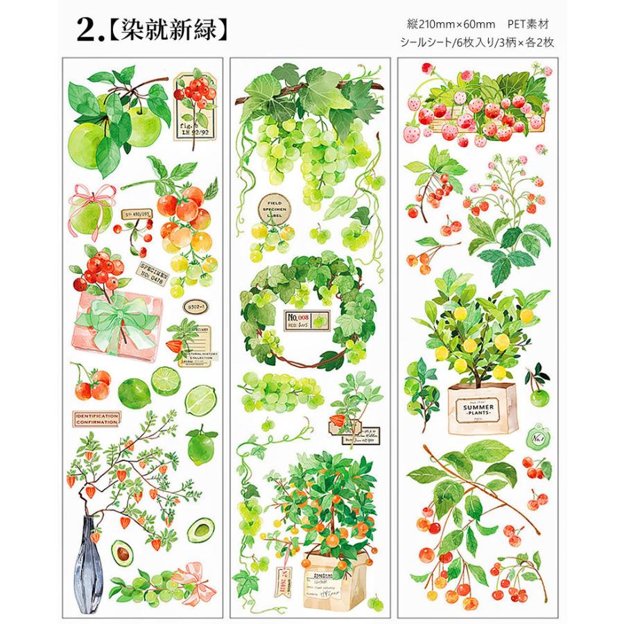 【同梱200円以下♡】コラージュ素材 マットタイプステッカー 50枚かぶりなし♡ コラージュ シール 観葉植物 多肉植物 素材 PET 耐水 ステッカー