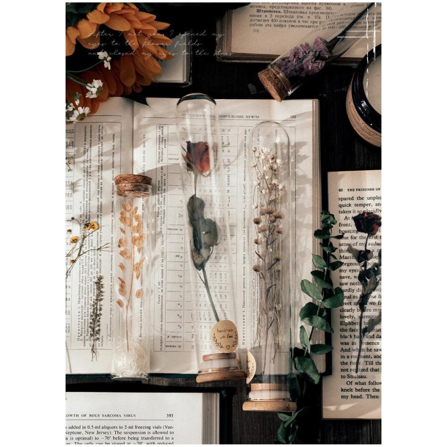 海外 大きめ 押し花 シール ステッカー クリア Pet 全8種類 手帳デコ コラージュ 素材 植物 花 フラワー 薔薇 ローズ 葉 木の実 植物 Sztz 10 011 Sztz 10 011 卸売のeiei 通販 Yahoo ショッピング