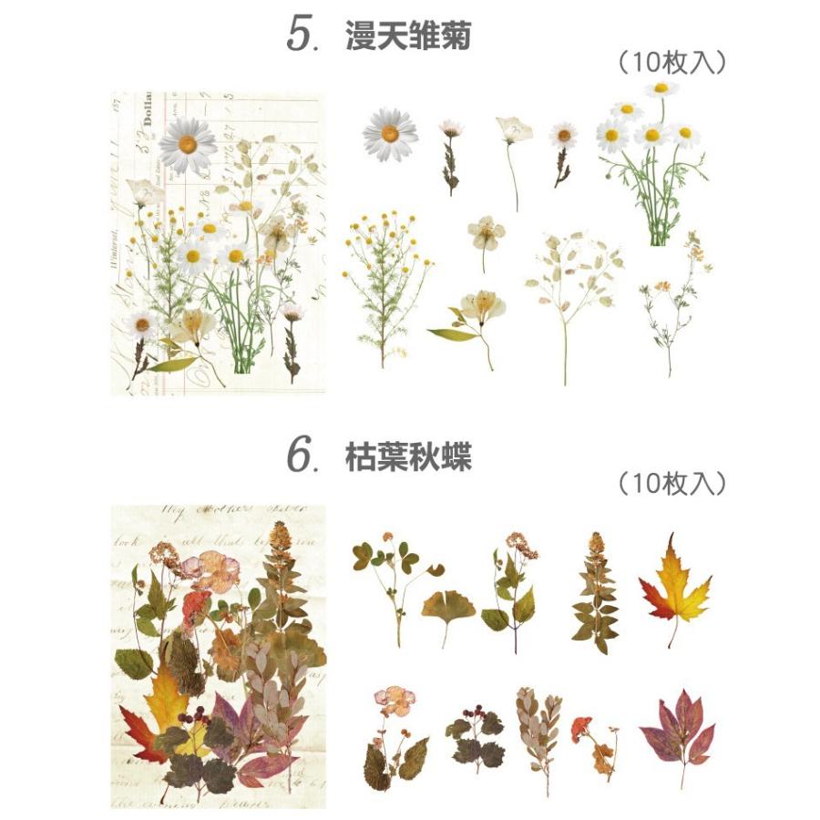 海外 大きめ 押し花 シール ステッカー クリア Pet 全8種類 手帳デコ コラージュ 素材 植物 花 フラワー 薔薇 ローズ 葉 木の実 植物 Sztz 10 011 Sztz 10 011 卸売のeiei 通販 Yahoo ショッピング