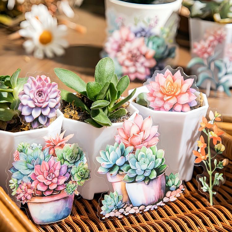 多肉植物 クリアシール 大きめ フレークシール サボテン 観賞植物