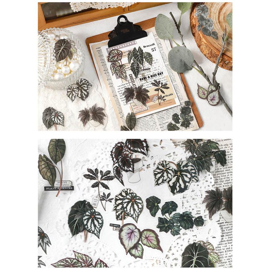 観葉植物 クリアシール コラージュ素材 シール 縁起 の 良い 観葉 植物