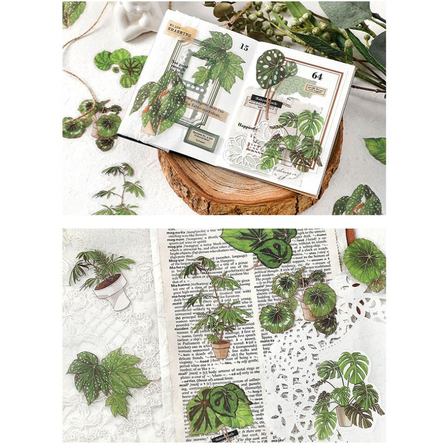 観葉植物 クリアシール コラージュ素材 シール 縁起 の 良い 観葉 植物
