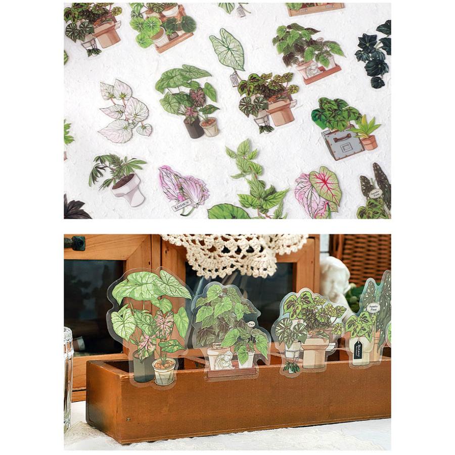 観葉植物 クリアシール コラージュ素材 シール 縁起 の 良い 観葉 植物
