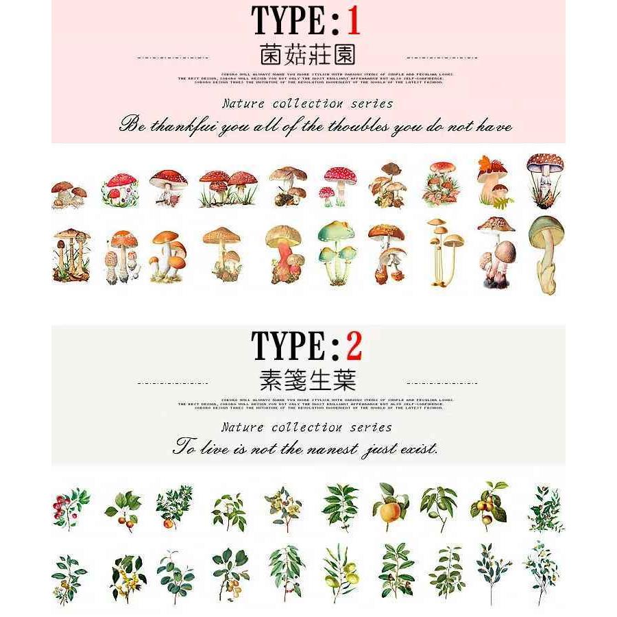 即日発送 海外ステッカー 大きめ フレークシール 40枚入 クリア Pet素材 植物 花 フラワー 葉 きのこ ジャンクジャーナル コラージュ素材 Sztz 40 001 Sztz 40 001 卸売のeiei 通販 Yahoo ショッピング