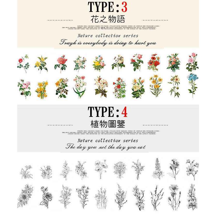 即日発送 海外ステッカー 大きめ フレークシール 40枚入 クリア Pet素材 植物 花 フラワー 葉 きのこ ジャンクジャーナル コラージュ素材 Sztz 40 001 Sztz 40 001 卸売のeiei 通販 Yahoo ショッピング