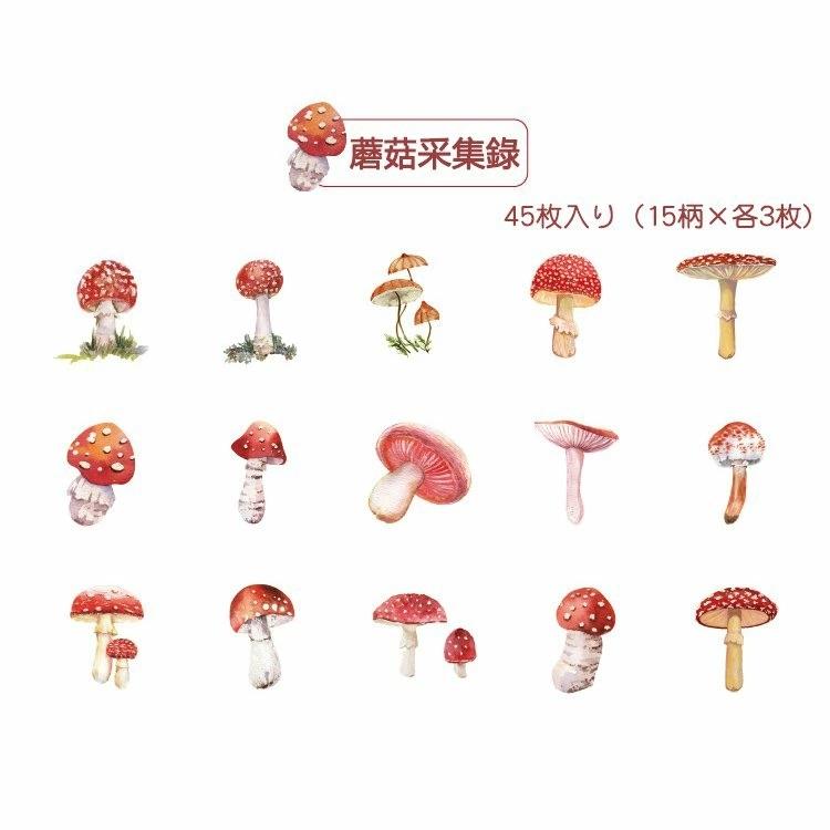 海外ステッカー キノコ きのこ シール フレークシール 45枚 箱入り 茸