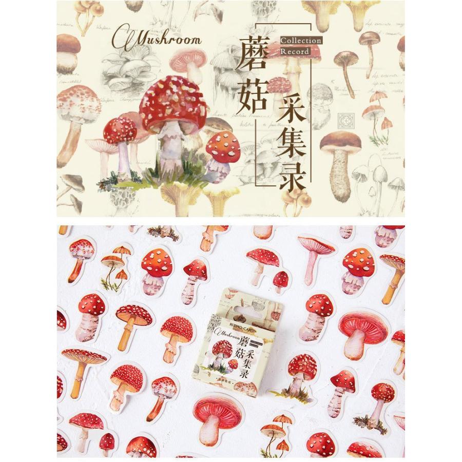 海外ステッカー キノコ きのこ シール フレークシール 45枚 箱入り 茸
