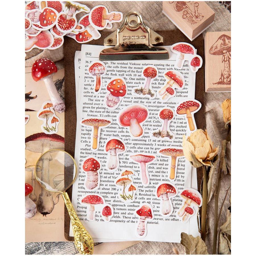 海外ステッカー キノコ きのこ シール フレークシール 45枚 箱入り 茸