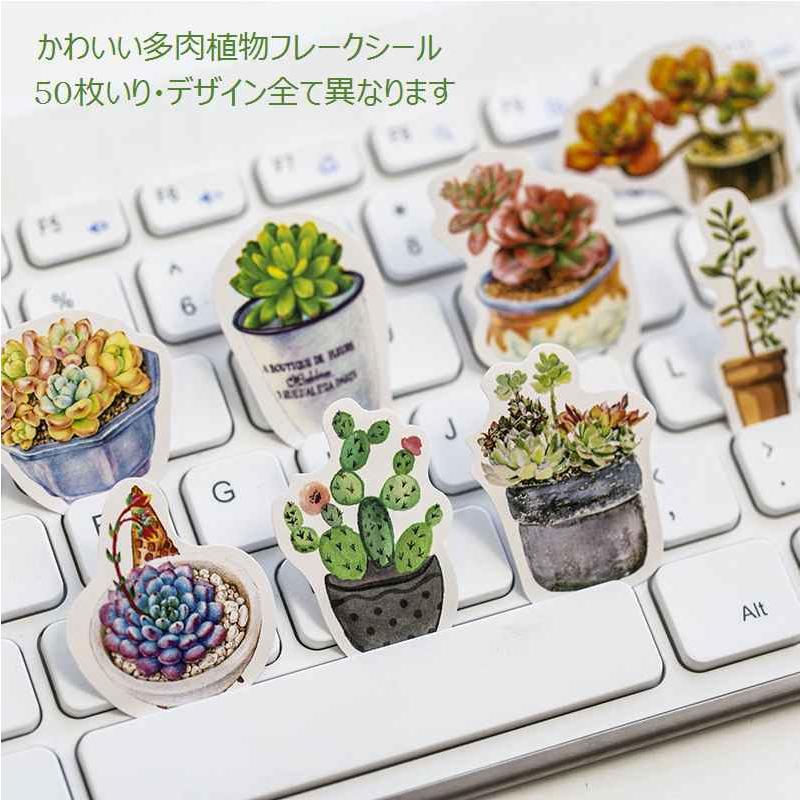 即日発送 多肉植物 フレークシール イラストステッカー シール ビンテージ サボテン アンティーク コラージュ レトロ おしゃれ かわいい 50枚 Sztz 50 001 卸売のeiei 通販 Yahoo ショッピング