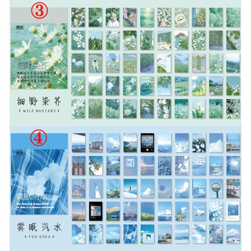 海外シール マスキングテープ素材◇色別10種◇和紙 半透明 海外シール マスキングテープ素材◇色別10種◇和紙 半透明