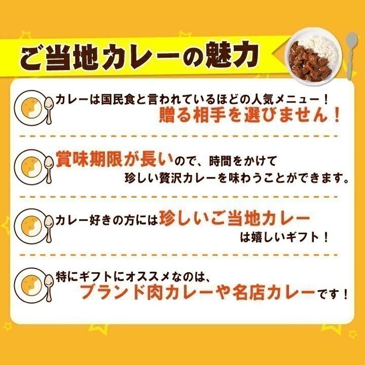 ご当地カレー * 鹿児島 南州農場 黒豚カレー * 鹿児島県ご当地レトルトカレー ギフト 保存食｜oroshistadium｜04