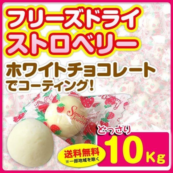 海外最新 個包装チョコレート フリーズドライストロベリーチョコ ホワイトチョコレート 10kg 1c S お配りチョコ チョコ個包装 バレンタインチョコ大量 再再販 Orientalweavers Com