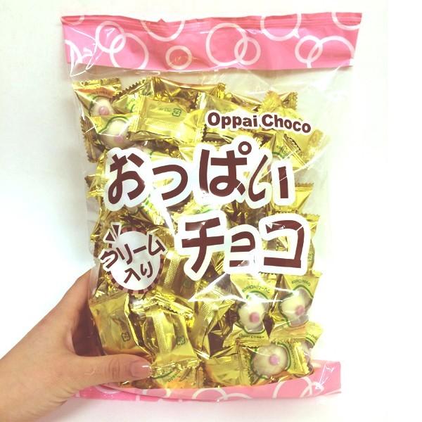 おっぱいチョコ 500g 12袋セット(1ケース) ※夏季クール便料が発生し
