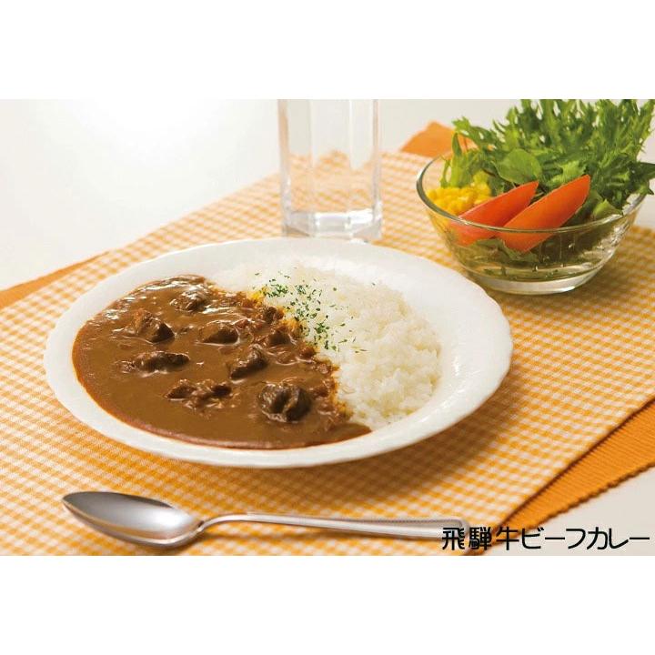 ご当地カレーセット 当店人気ランキングセット10種 レトルトカレー