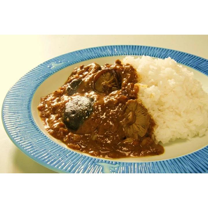 ご当地カレーセット 当店人気ランキングセット10種 レトルトカレー