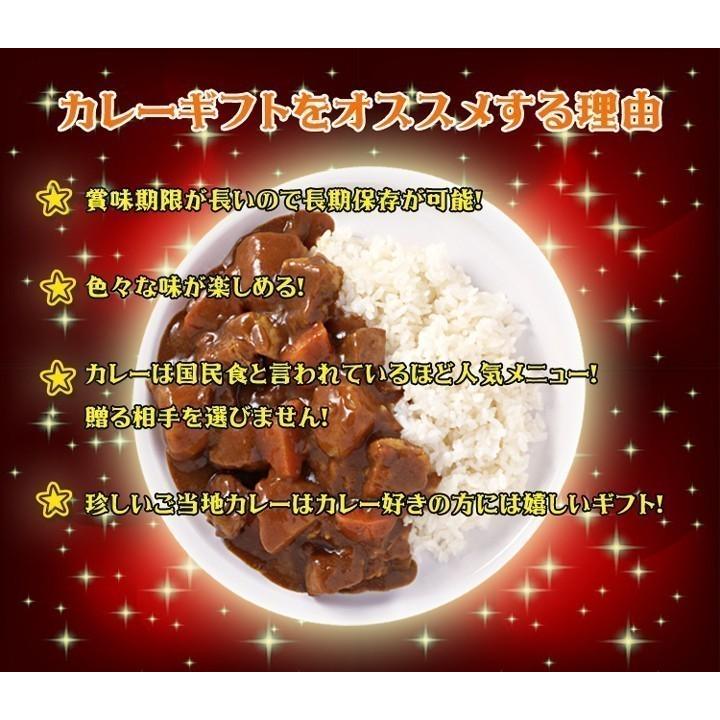ご当地カレーセット 当店人気ランキングセット10種 レトルトカレー