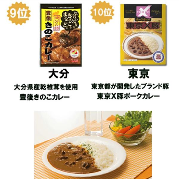 ご当地カレーセット 当店人気ランキングセット10種 レトルトカレー バレンタインギフト 販促スタジアム 通販 ショッピング 地 カレー家 支店日本全国食べつくし ご当地カレー47都道府県のご当地カレーセット Zahnarzt Franz De