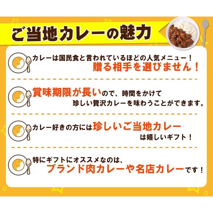 ご当地カレー詰合せ 有名ご当地カレーラクラクおまとめ買いご当地カレーセット10種20個　