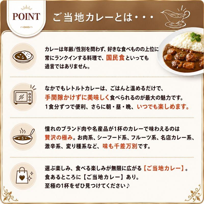 お中元カレーセット 1 夏に食べたい！カレーセット ご当地カレー