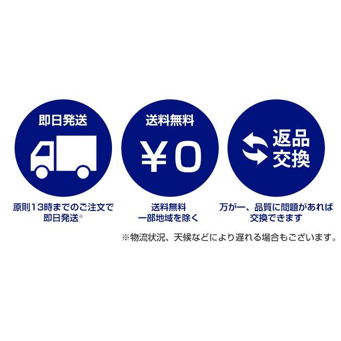 即納 白くまカイロ 貼らない レギュラー 120個セット(10個入×12袋、0.5c/s)｜oroshistadium｜12