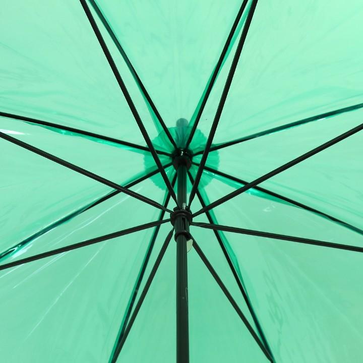 カラー傘 * ビニール傘 50cm カラー 緑 60本セット(1c/s) : 販促