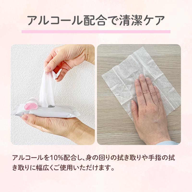予約注文9/28〜29出荷予定 除菌 アルコール ふんわかウェット