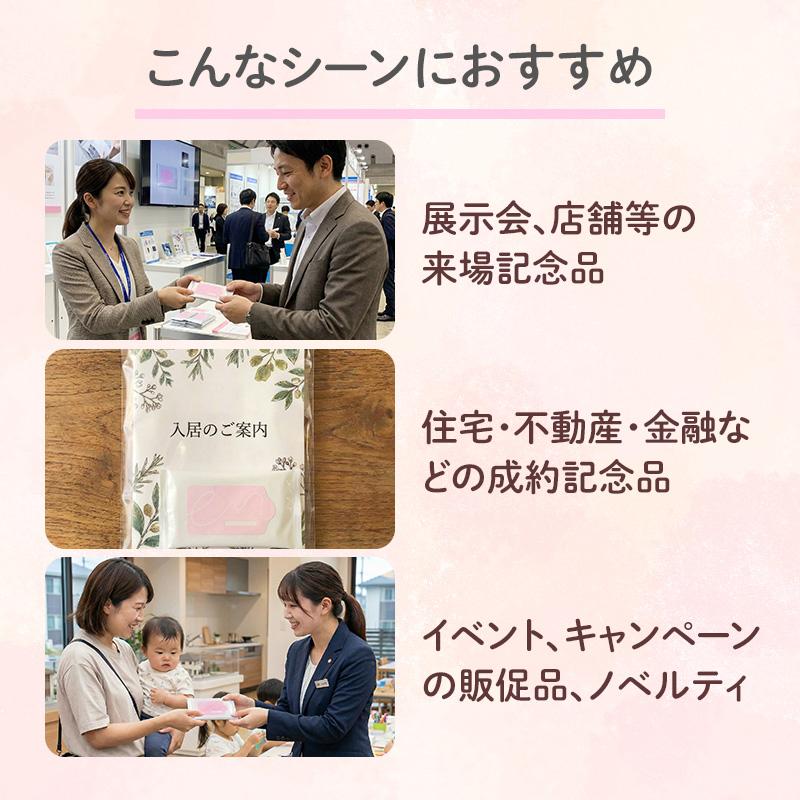 予約注文9/28〜29出荷予定 除菌 アルコール ふんわかウェット