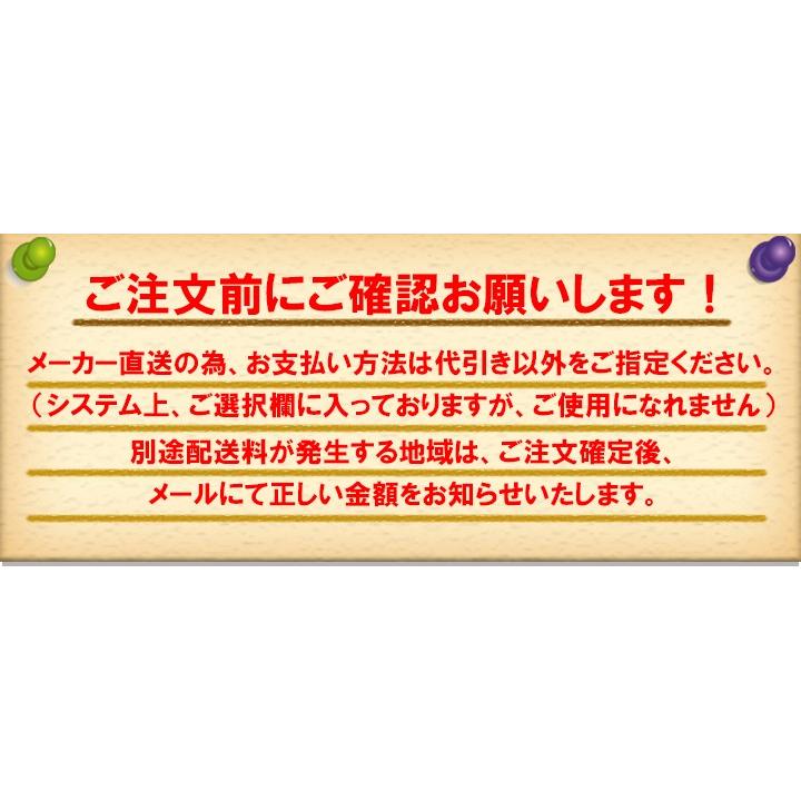 IRIS OHYAMA（アイリスオーヤマ） Lサイズ アイリス 国産カイロ 中敷き