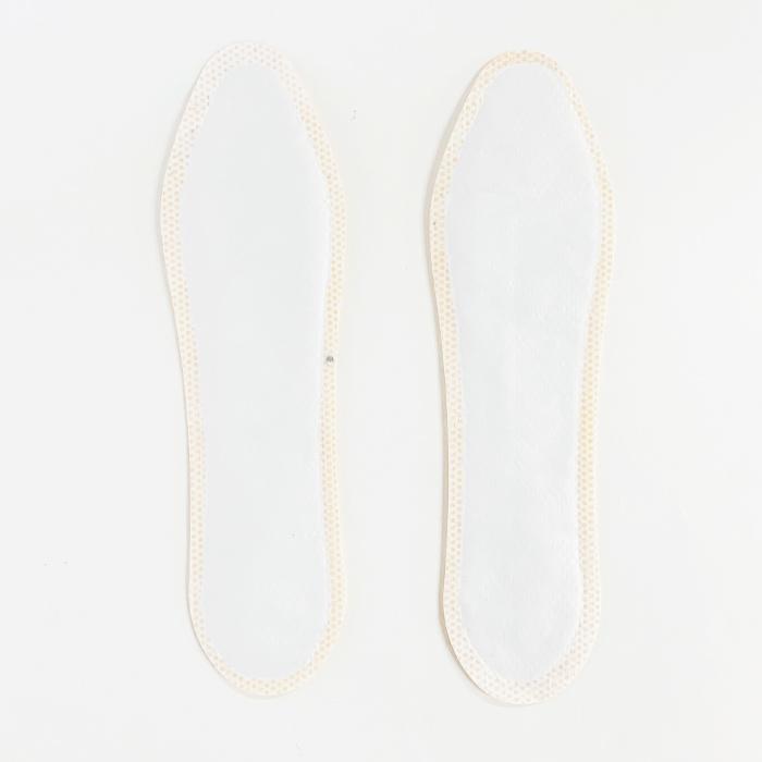 IRIS OHYAMA（アイリスオーヤマ） Lサイズ アイリス 国産カイロ 中敷き