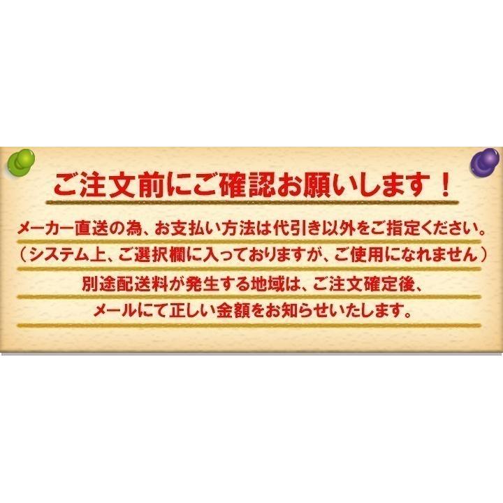 流せるトイレクリーナー 1枚 （個包装） 500個セット(1c/s)(000C2010)_4