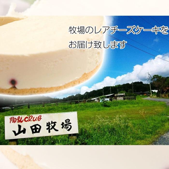 山田牧場 チーズケーキの商品一覧 通販 - Yahoo!ショッピング