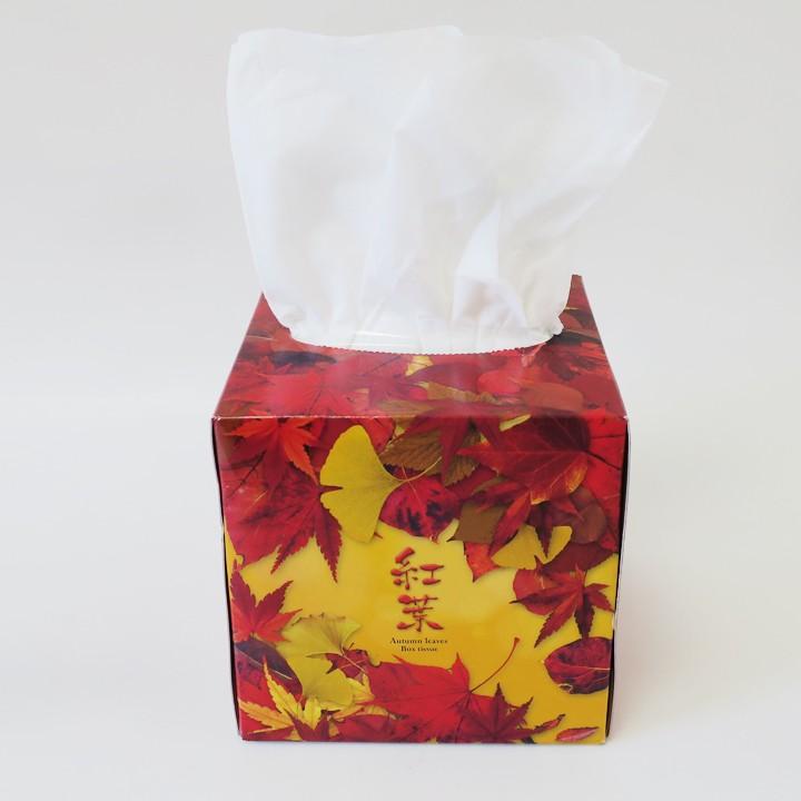 秋の販促品大量購入 紅葉ティッシュボックス】紅葉ティッシュ 50個