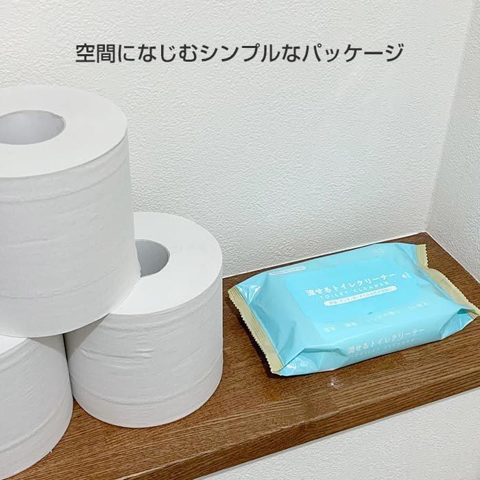 ペーパーテック 流せる除菌ミントのトイレクリーナー 24枚入 360個