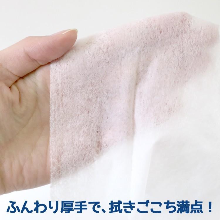 銀イオンウェットティッシュ大判10枚入 600個セット（3c/s）（N038）_3