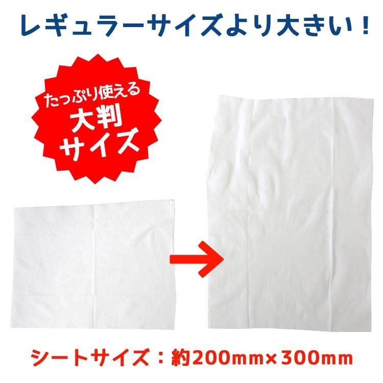 銀イオンウェットティッシュ大判10枚入 600個セット（3c/s）（N038）_4