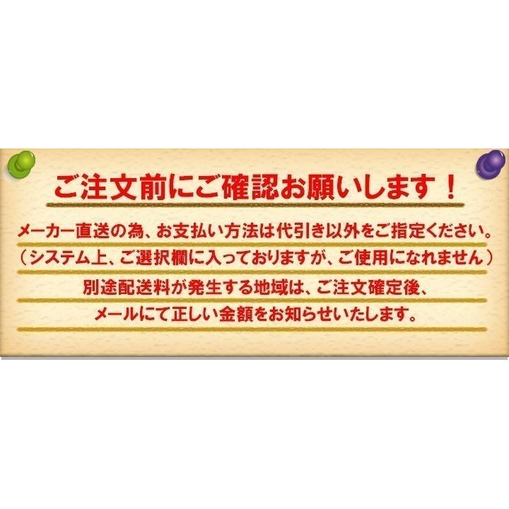 外国産平地付きタオル 200匁 名入れタオル（片袖1色） 名刺ポケット付きPP入 のし有り 600枚セット_15