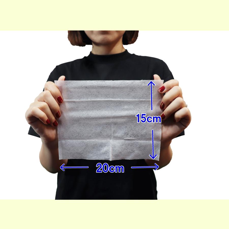 さらっとひんやりパウダーシート シーソルトミントの香り 携帯用 10枚×3P 60パックセット(1c/s) 洗顔シート まとめ買い 業務用_6