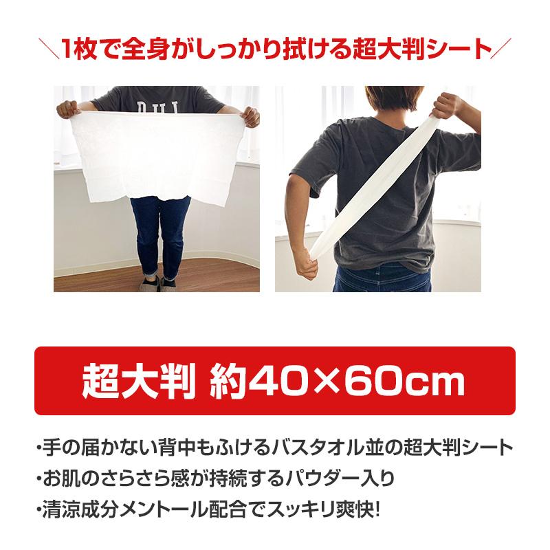 超大判クールタオル ラージサイズ冷えてます 個包装 160枚セット(10包