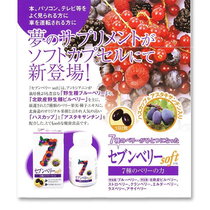 7種のベリーの力 セブンベリーソフト60粒 芳香園製薬 : おろしやさん