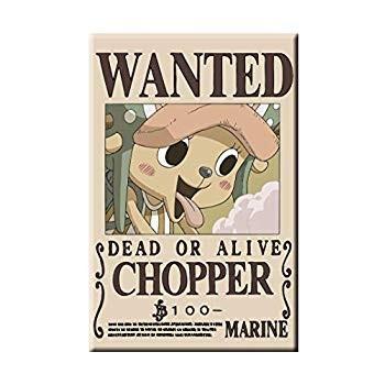 海外正規品 ワンピース 手配書缶バッジ Ver 1 1 Box 配送員設置送料無料 Vasbayankuaforu Com