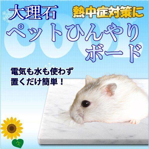 大理石でペットひんやりマット冷却タイルハムスター用 14 10ｃｍ 熱中症 暑さ対策 イタリア産白大理石 Orsショップ 通販 Yahoo ショッピング