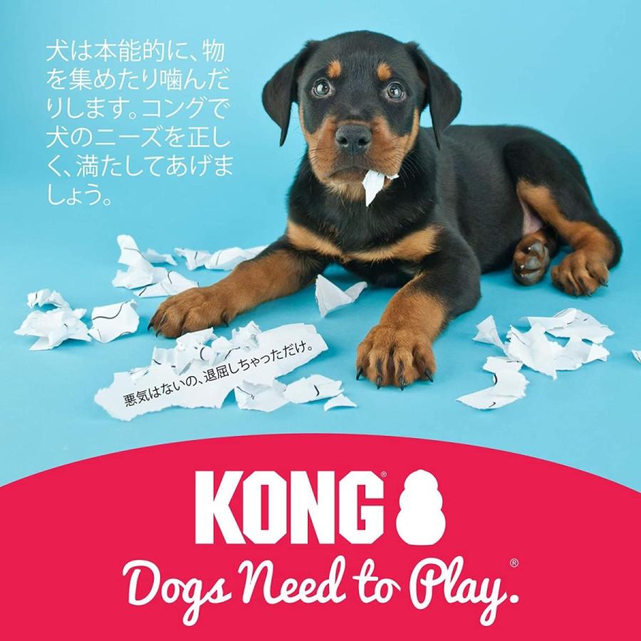待望 オーナーズグッズ Kong コング 犬用おもちゃ コング M サイズ Pappira Com