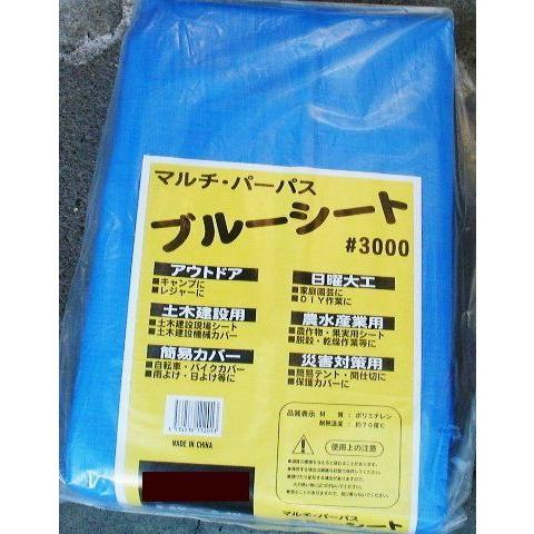 新しい到着 ブルーシート 10 10 3000 保証書付 Krgproperty Com