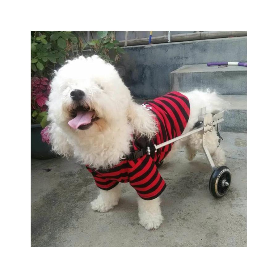 犬車いす老犬用スクーター、後肢障害者用補助スポーツカー、自由に調整可能なサイズ、大型補助ブラケット車椅子麻痺障害者用犬_1